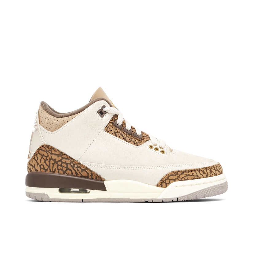 Air Jordan 3 Retro Palomino (GS) Beige DM0967-102