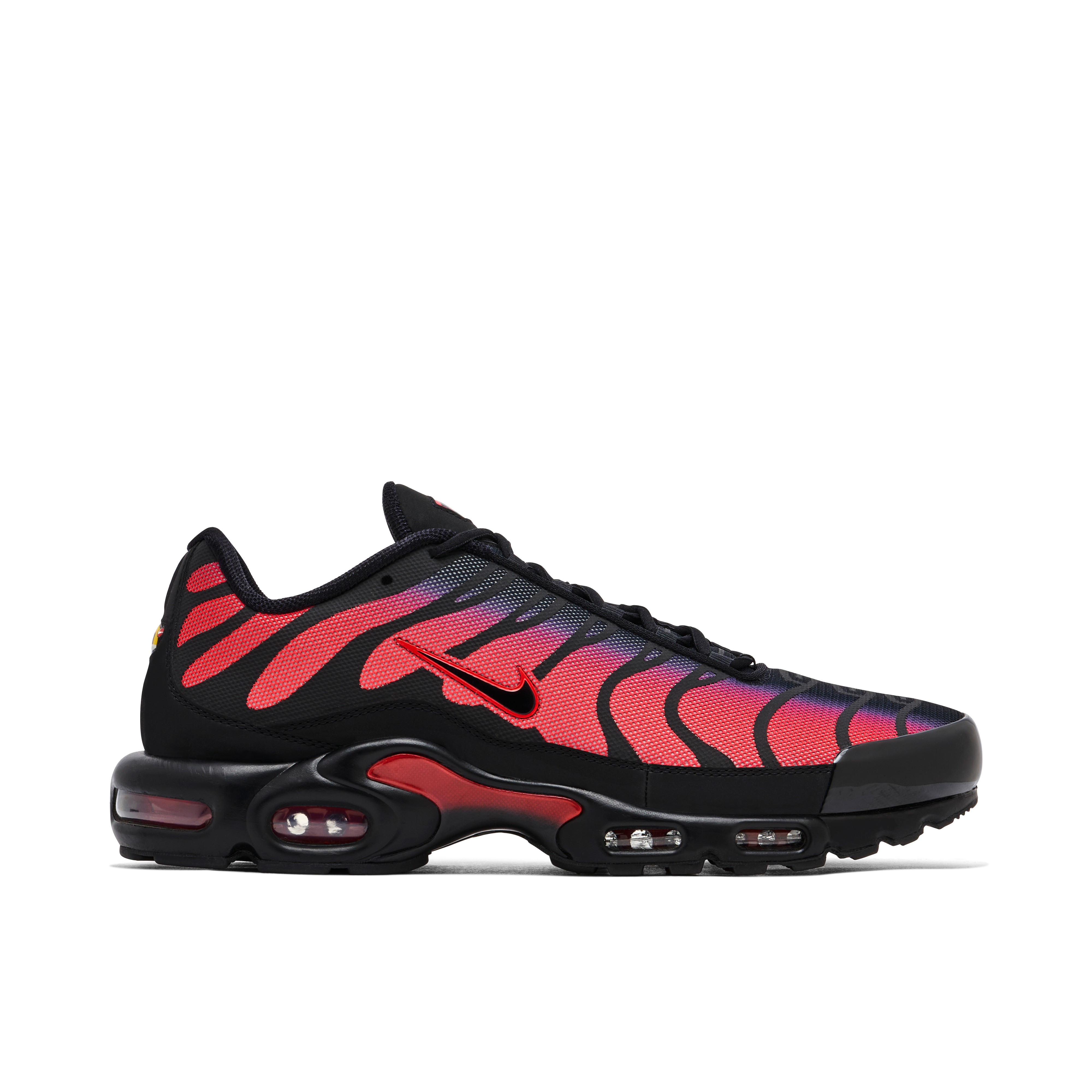 Pink and clearance white nike tns