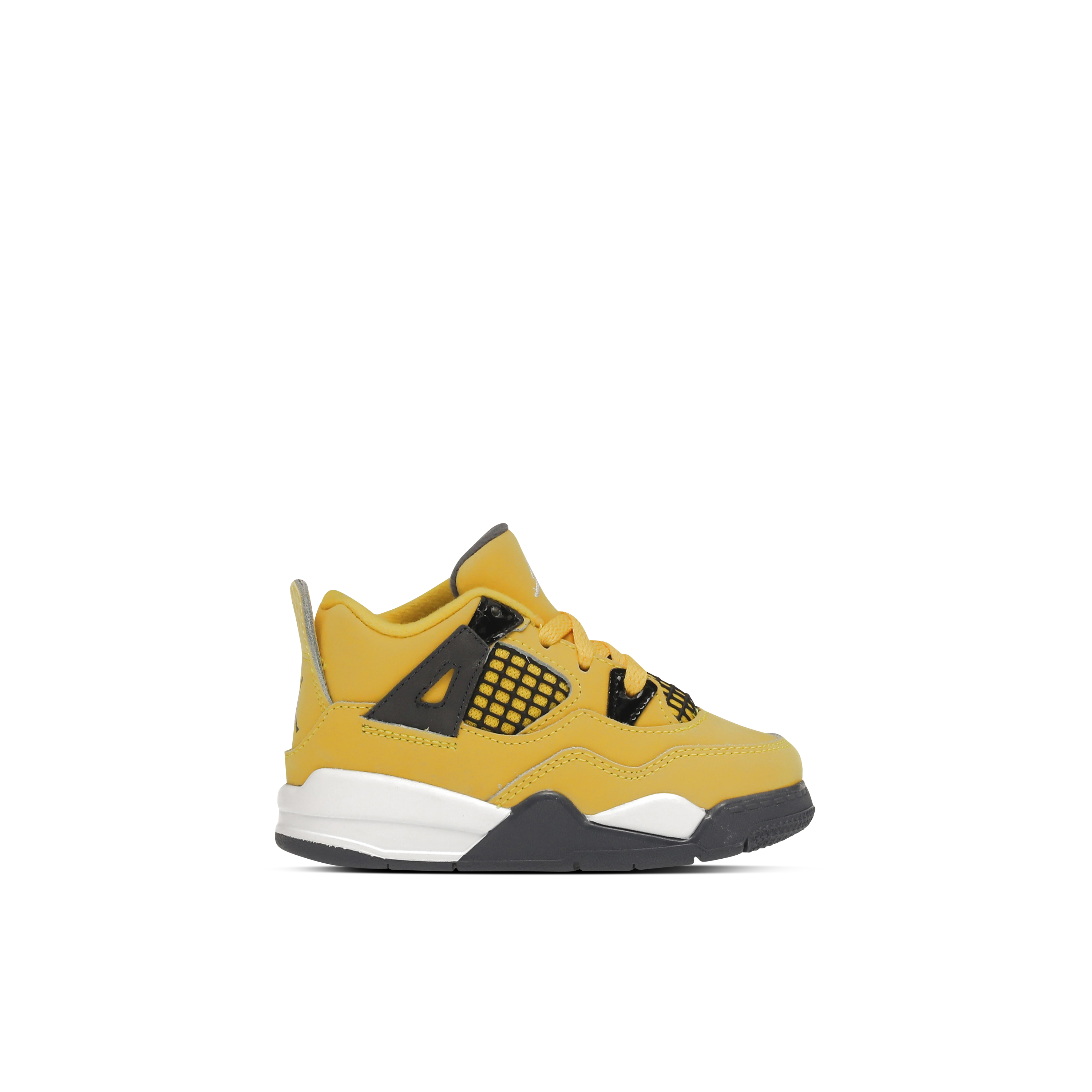 Air Jordan 4 Retro TD Wild Things